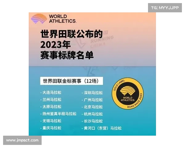 中国马拉松赛事等级体系深度解析与应用指南 中国马拉松赛事等级体系深度解析与应用指南